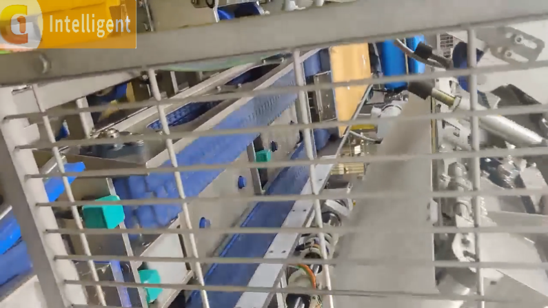 Tray-Flipping Demolding Machine